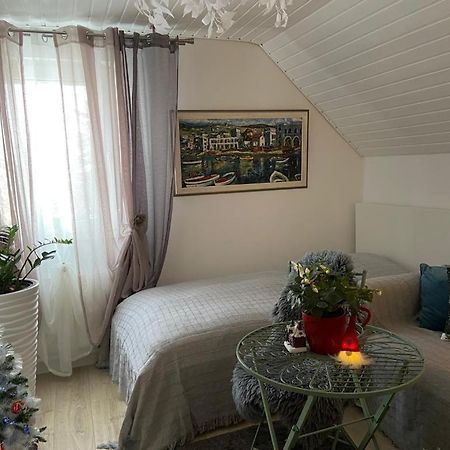 Ferienwohnung Pension Am Berg Villingen-Schwenningen Bagian luar foto